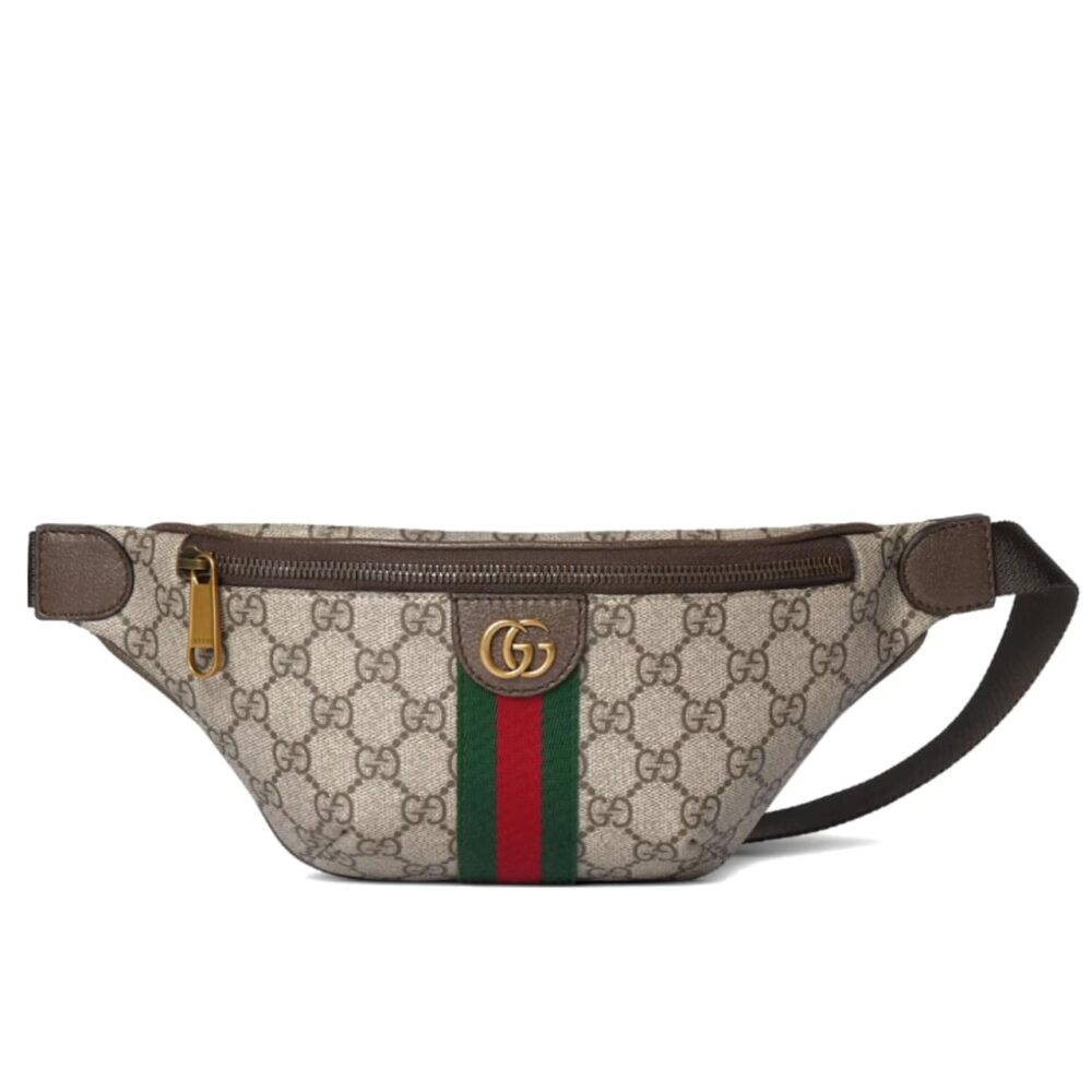 Gucci Ophidia Small Belt Bag Beige And Dark Brown 30Cm 839106 FAEOF 9745