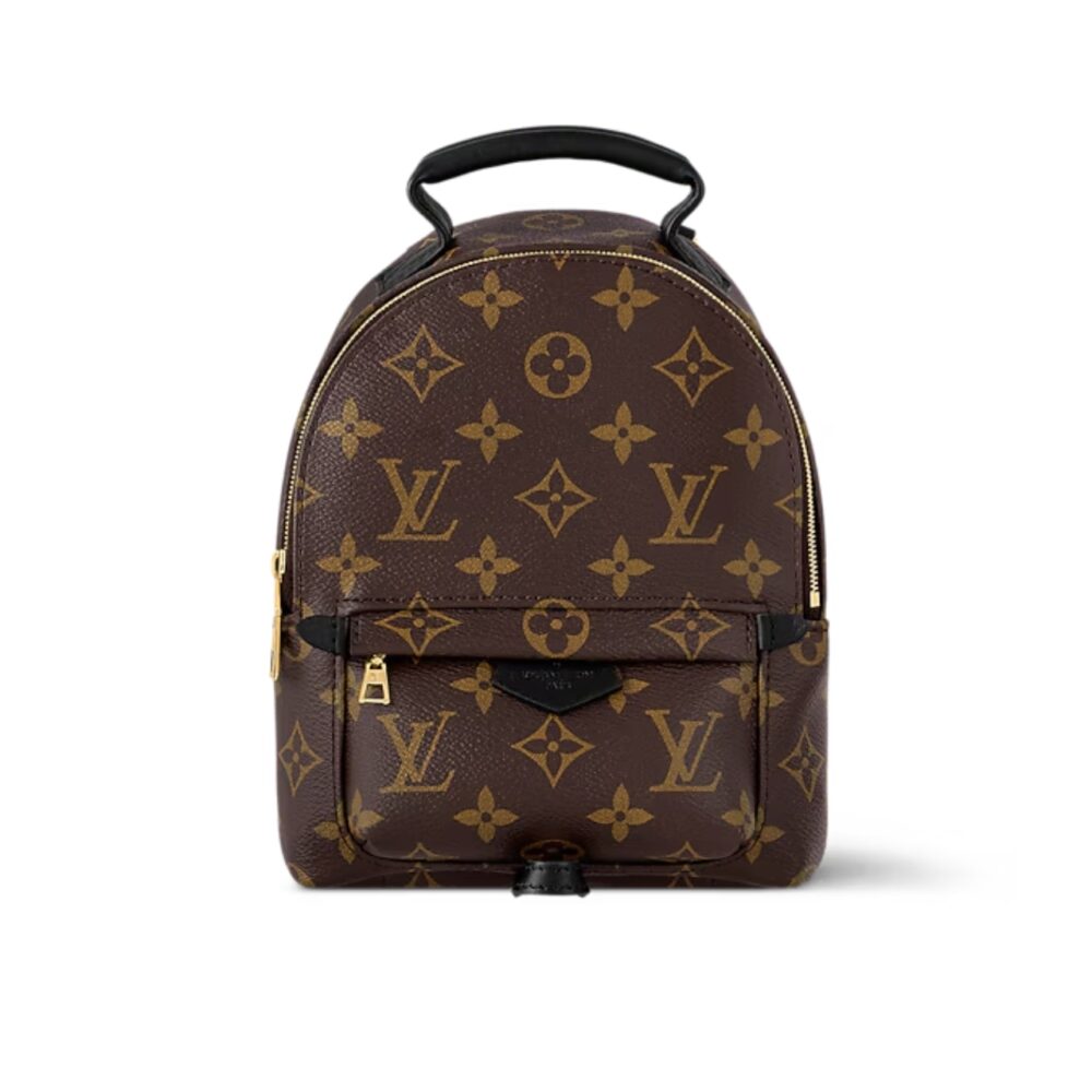 Louis Vuitton Palm Springs Mini Backpack Brown 22Cm M44873
